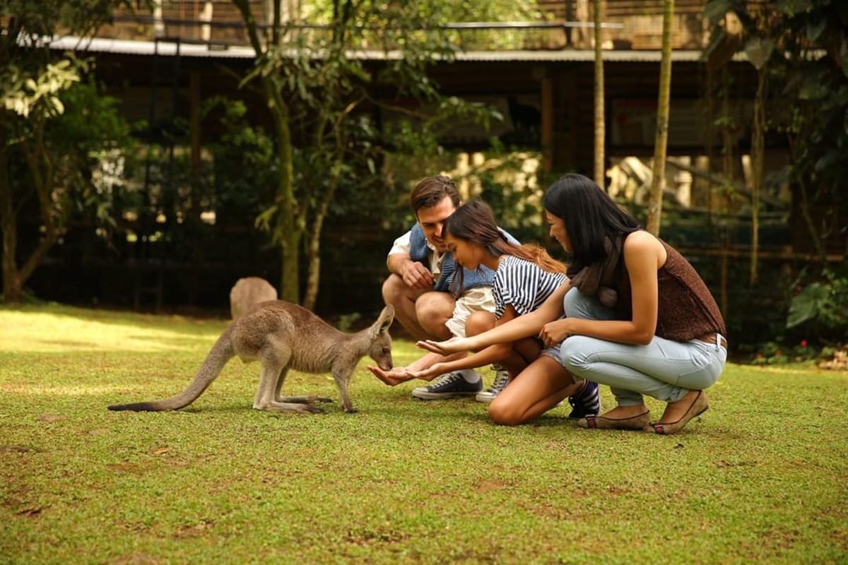 Experience These Safari Adventures on Your Next Visit to Indonesia