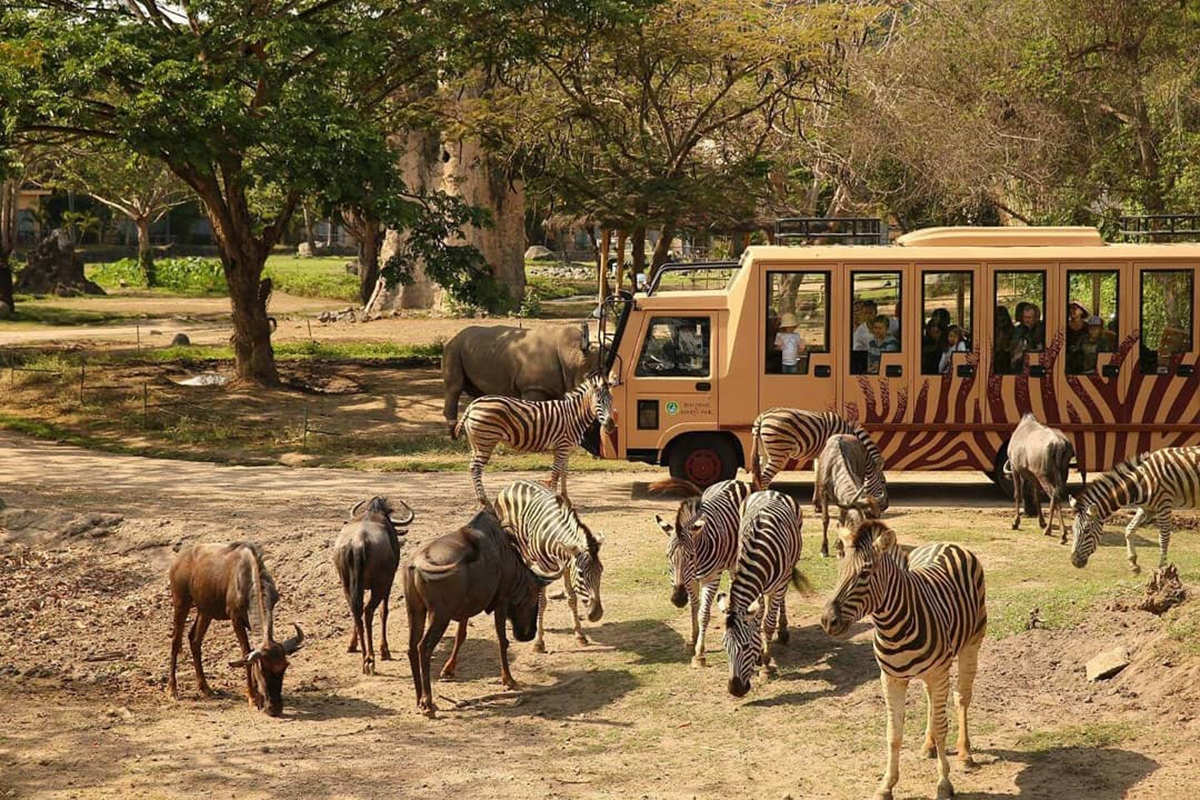 dilettandia park zoo safari