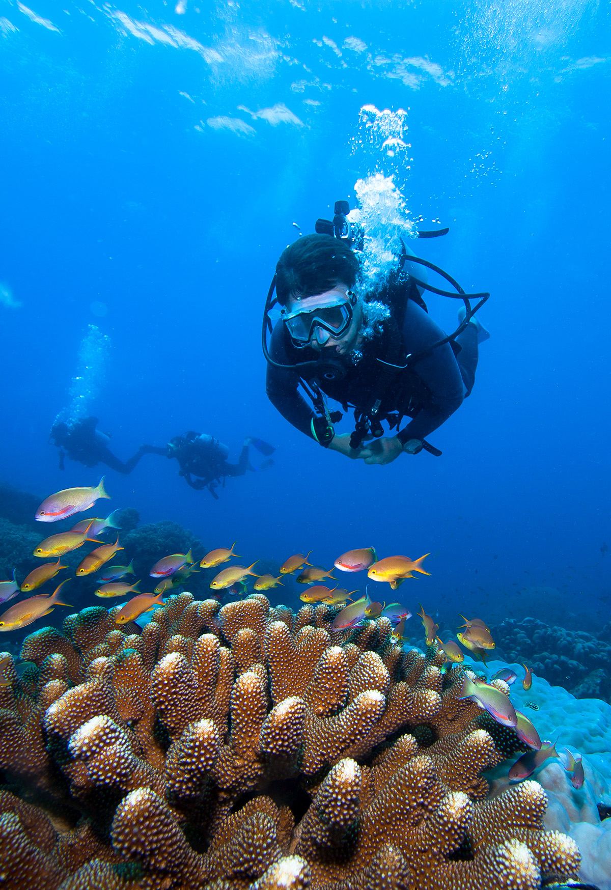 raja-ampat