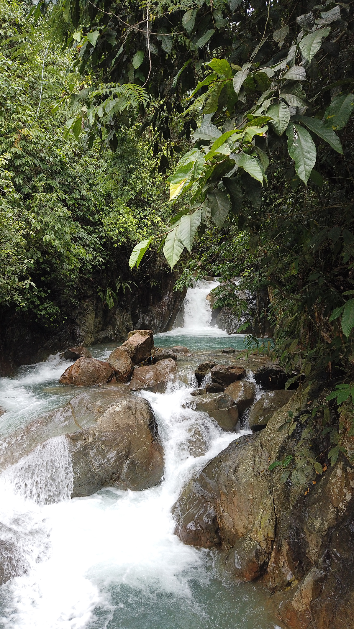 pristine waterfall of Curug Leuwi Hejo Bogor