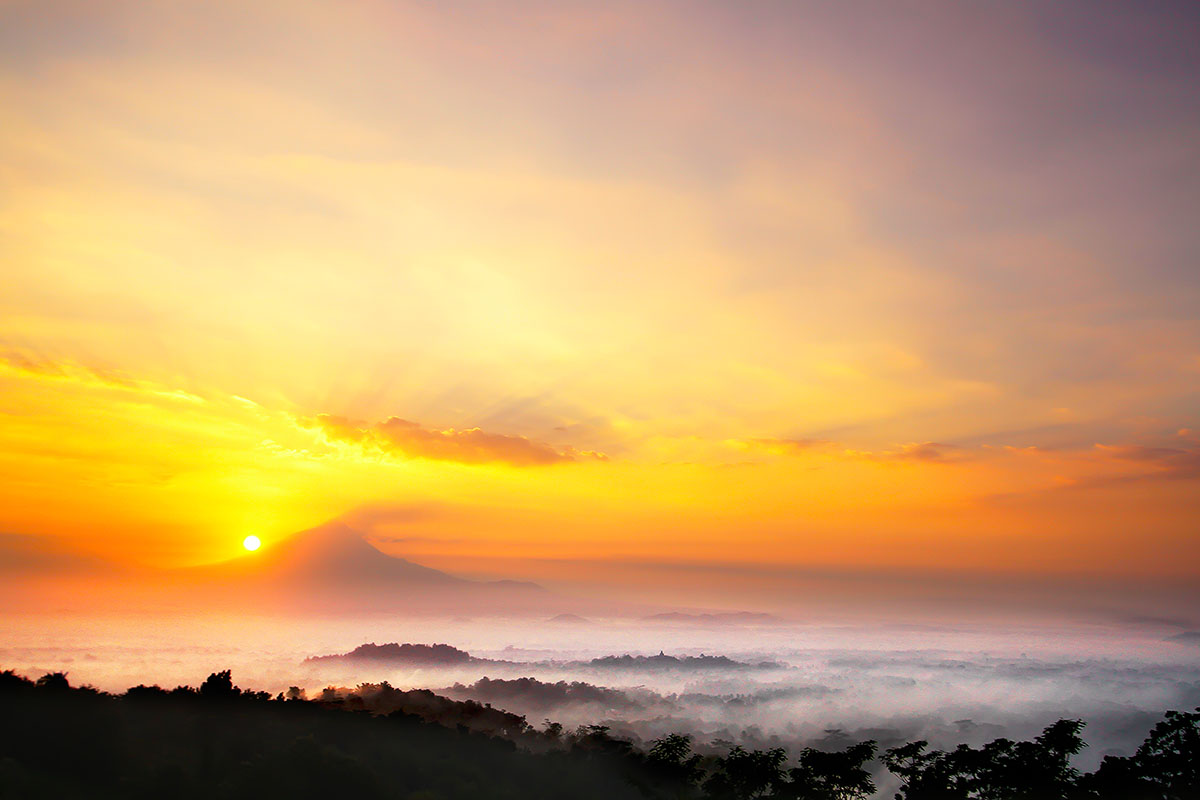 4d3n in borobudur