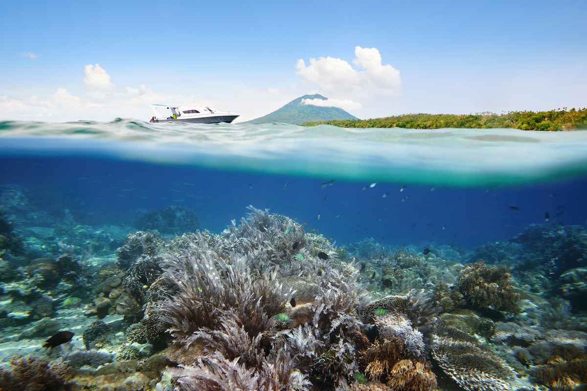 Pemandangan bawah laut di perairan Manada