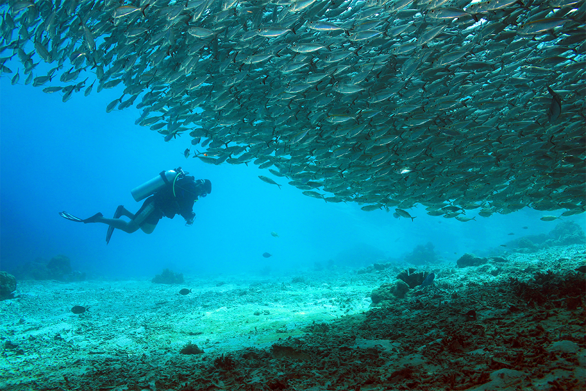 Raja Ampat