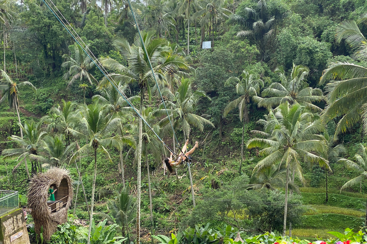 a woman swinging high above the forest at Alas Harum