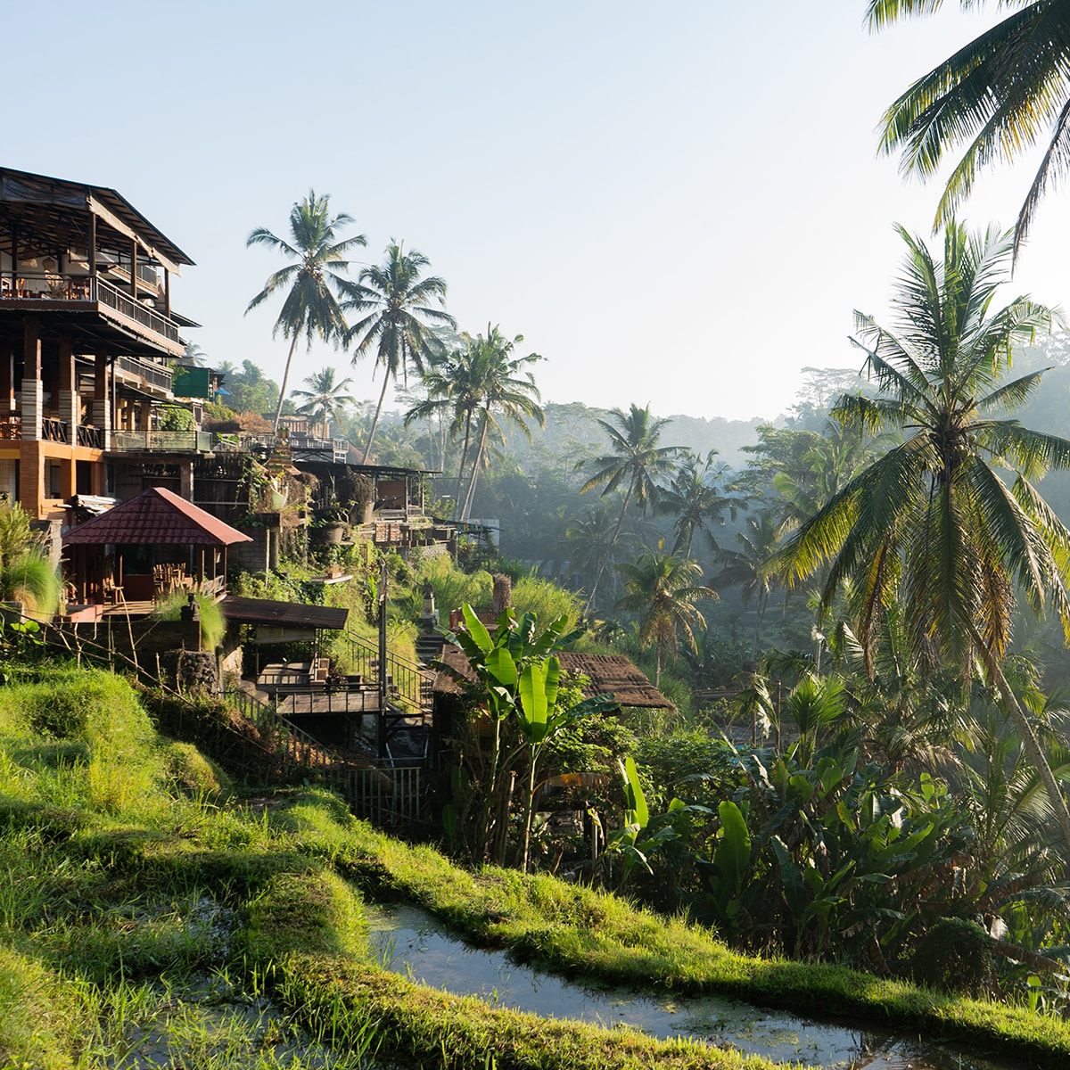 Села ма. Мас, Убуд, Гианьяр, Бали.. Деревня мас Бали. Убуд деревня ремесленников. Убуд Бали 2021 год.