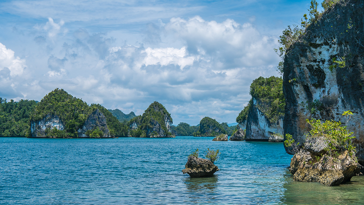 Raja Ampat Wonders: Untouched Beauty Unveiled