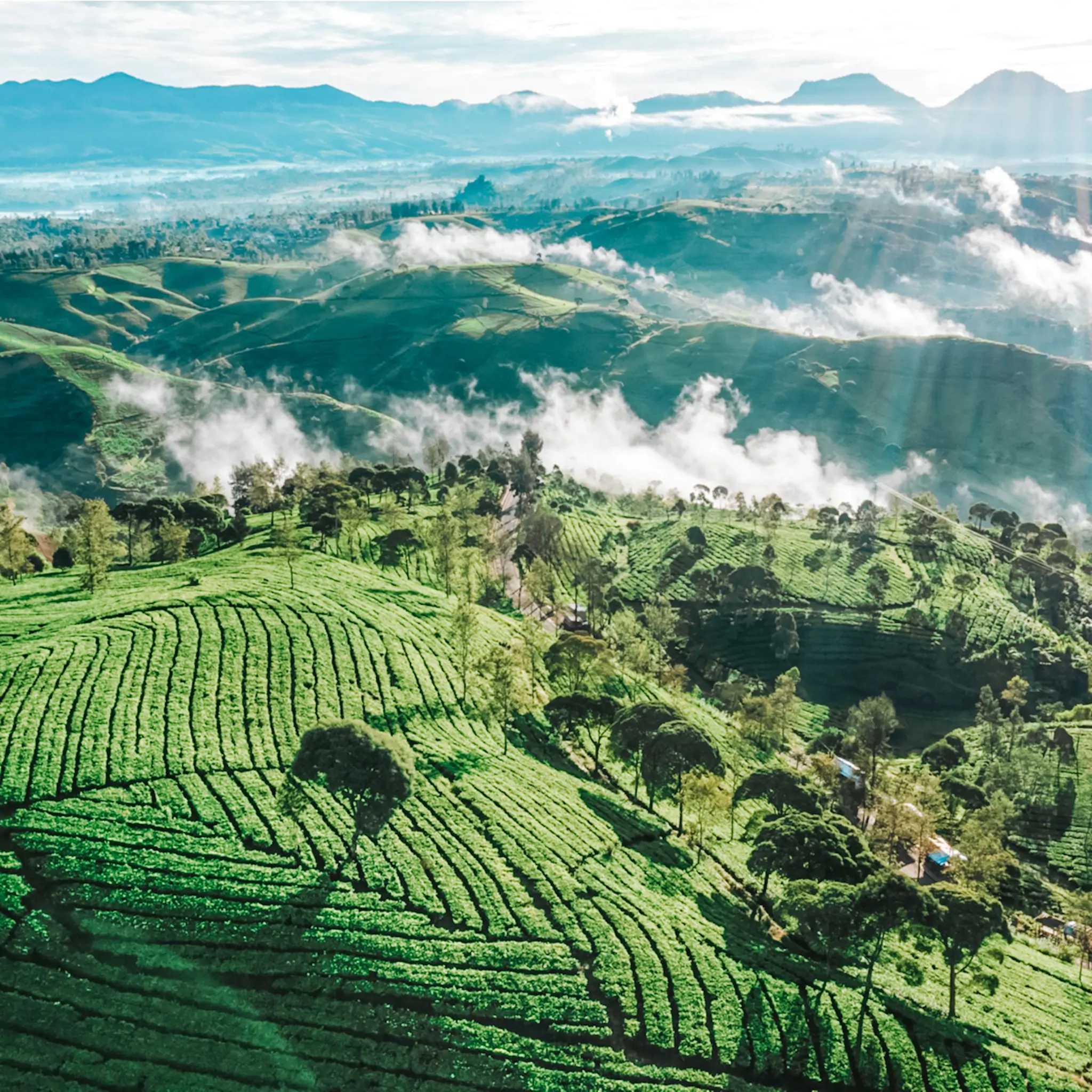 Tentang Indonesia Care