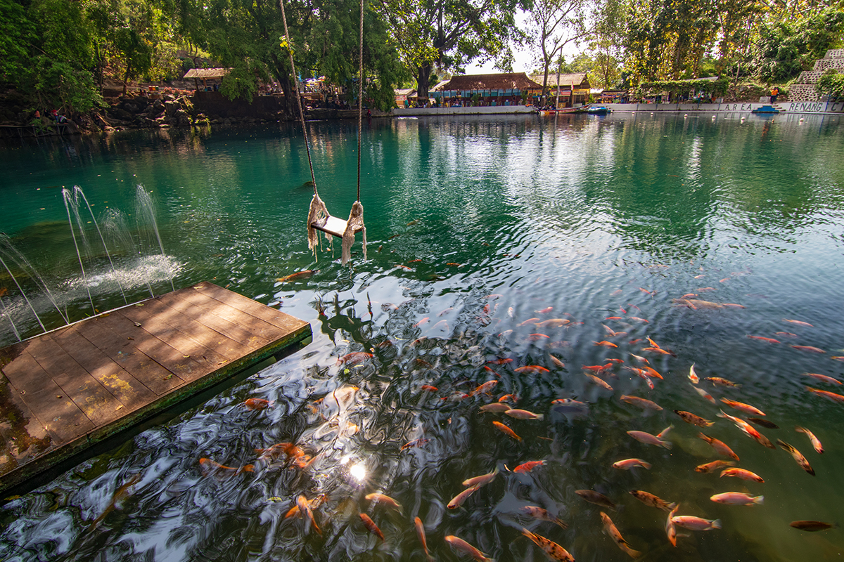 Sekumpulan ikan hias di Telaga Biru Cicerem