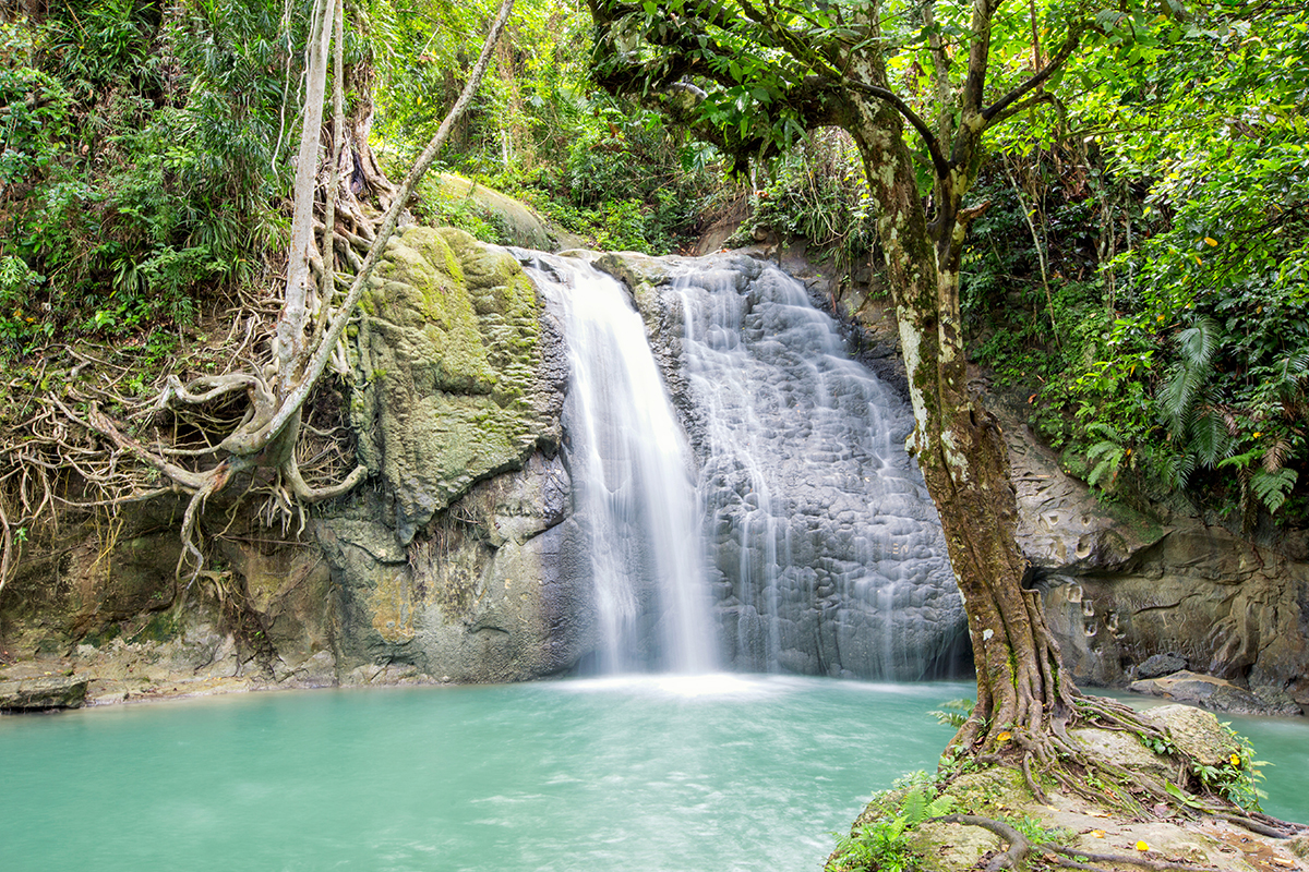 Air terjun tersembunyi di antara pepohonan asri, air terjun yang sangat jernih dan cocok untuk berenang, segarnya udara di sekitar air terjun