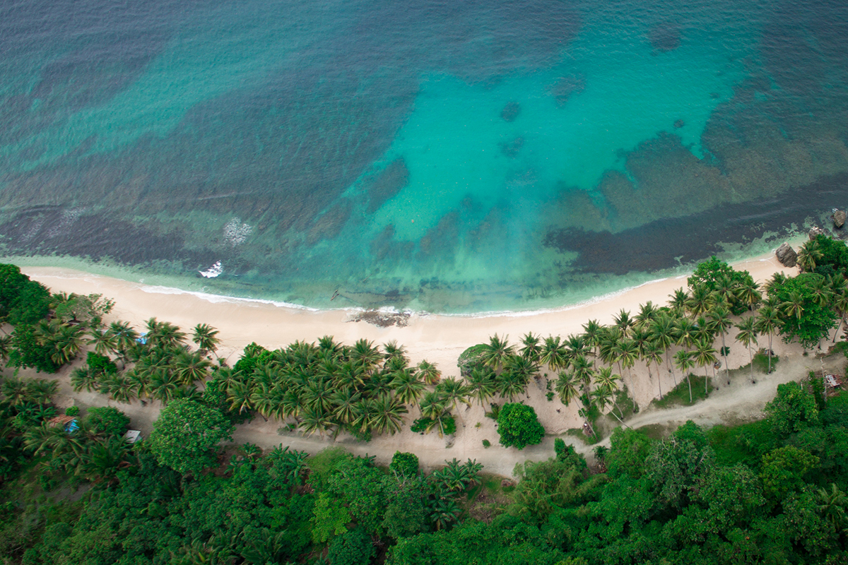 Air laut pantai yang jernih dan berwarna biru pekat, pasir pantai berwarna krem terang, pepohonan asri menghiasi pinggir pantai