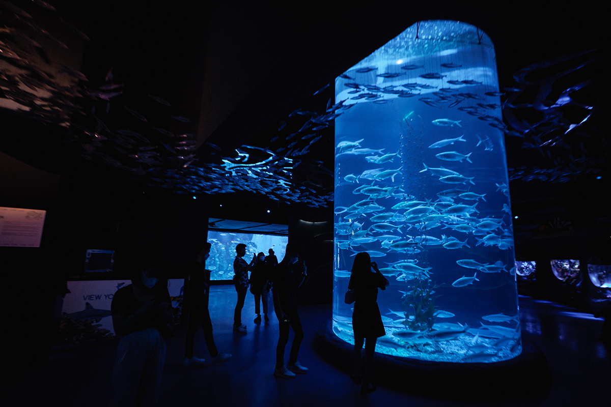 aquarium