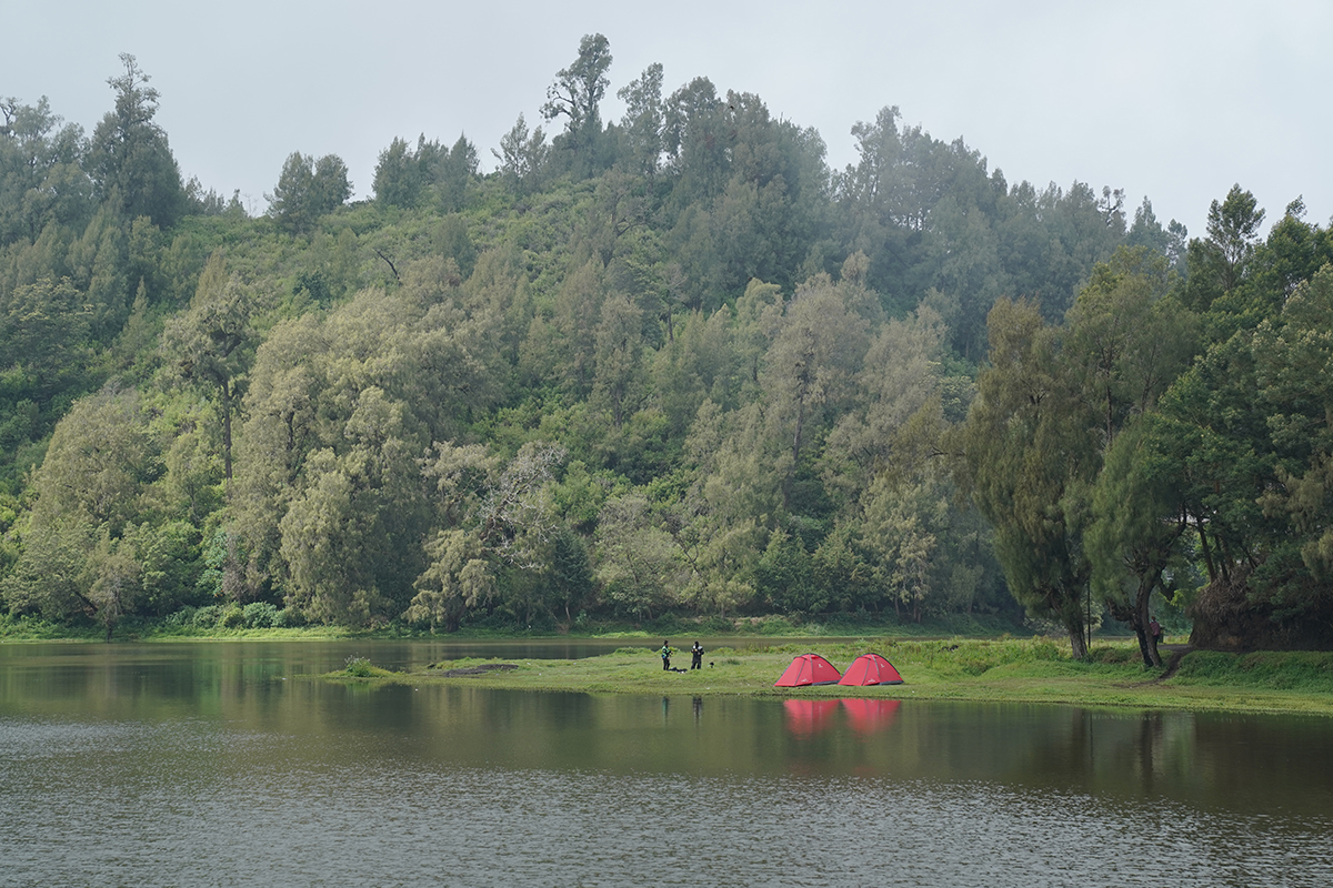 Danau Ranupani di Desa Wisata Ranupani, Lumajang