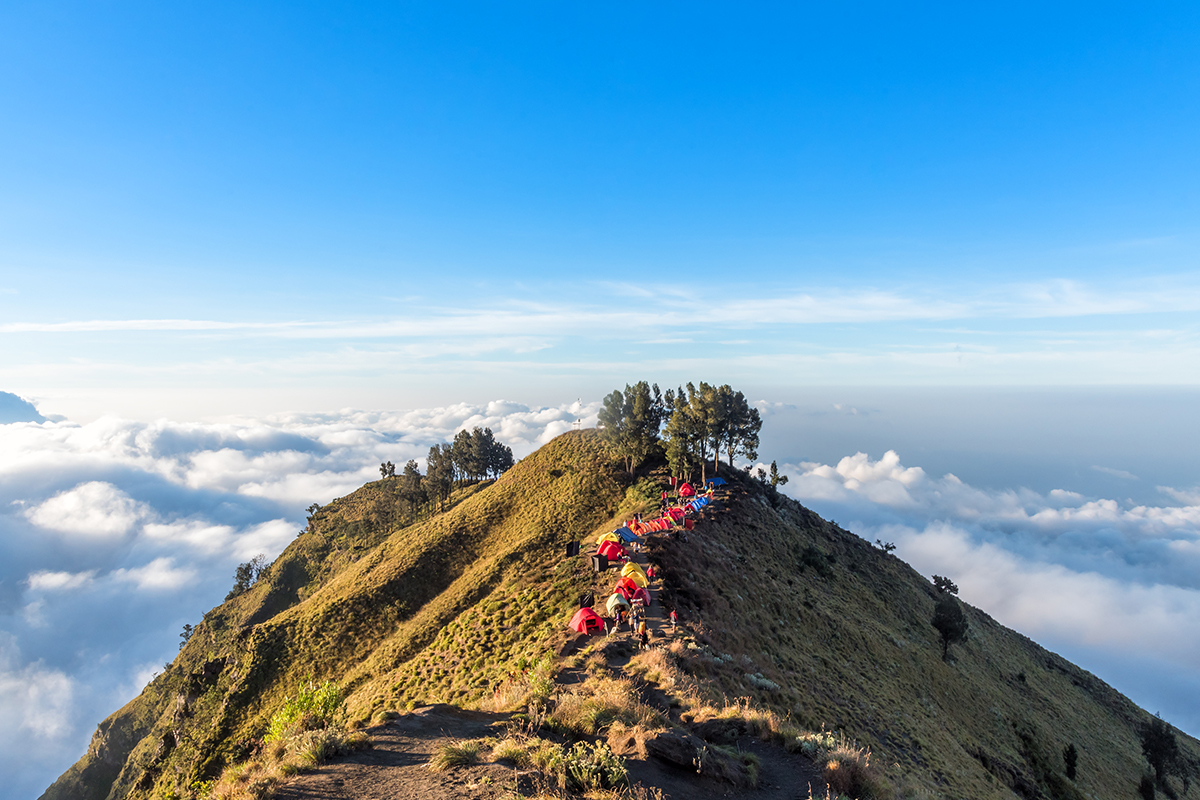 desa wisata kembang kuning