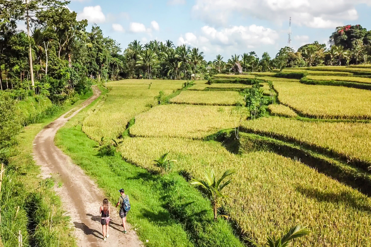 Destinasi wisata alam di Desa Wisata Tetebatu, NTB