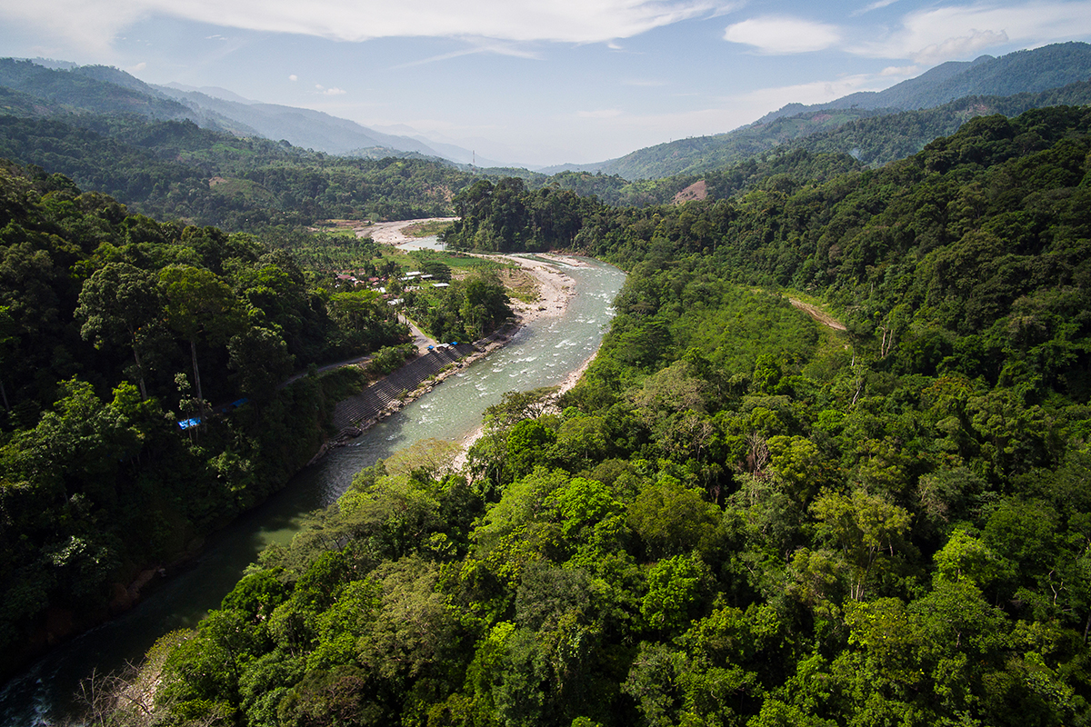 gunung-leuser