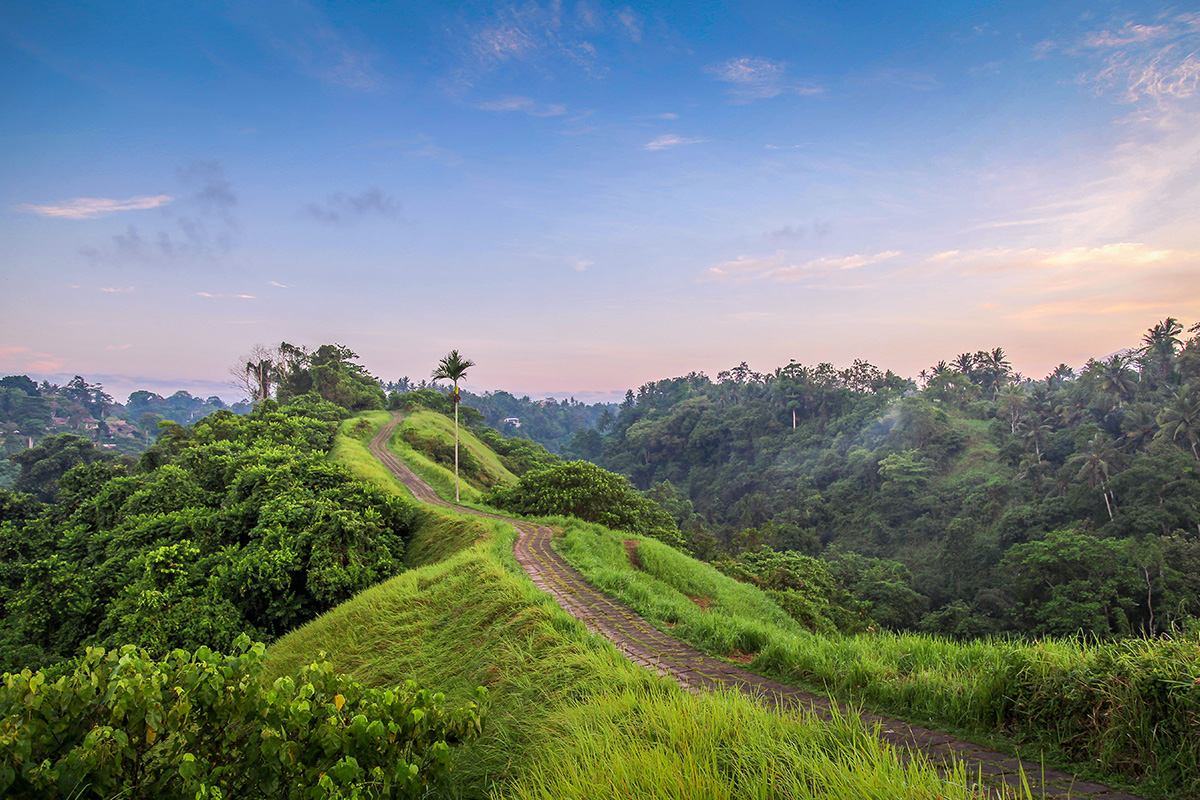 Wisata petik buah naga di Keboen Nogo Bululawang