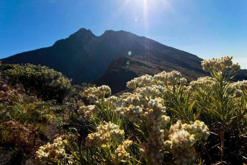Gunung Gede Pangrango