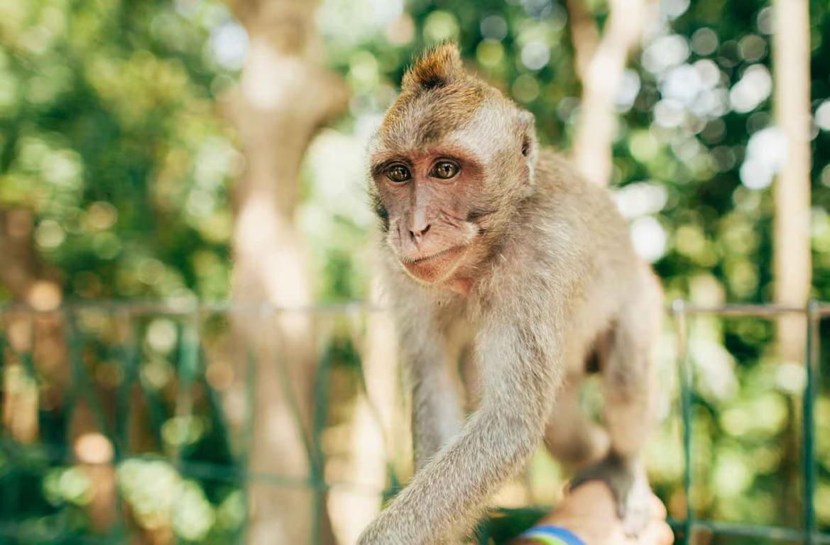 hero image for travel ideas detail