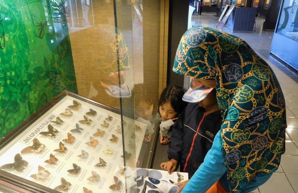 Museum Negeri NTB, Jejak Sejarah Sasak dan Samawa