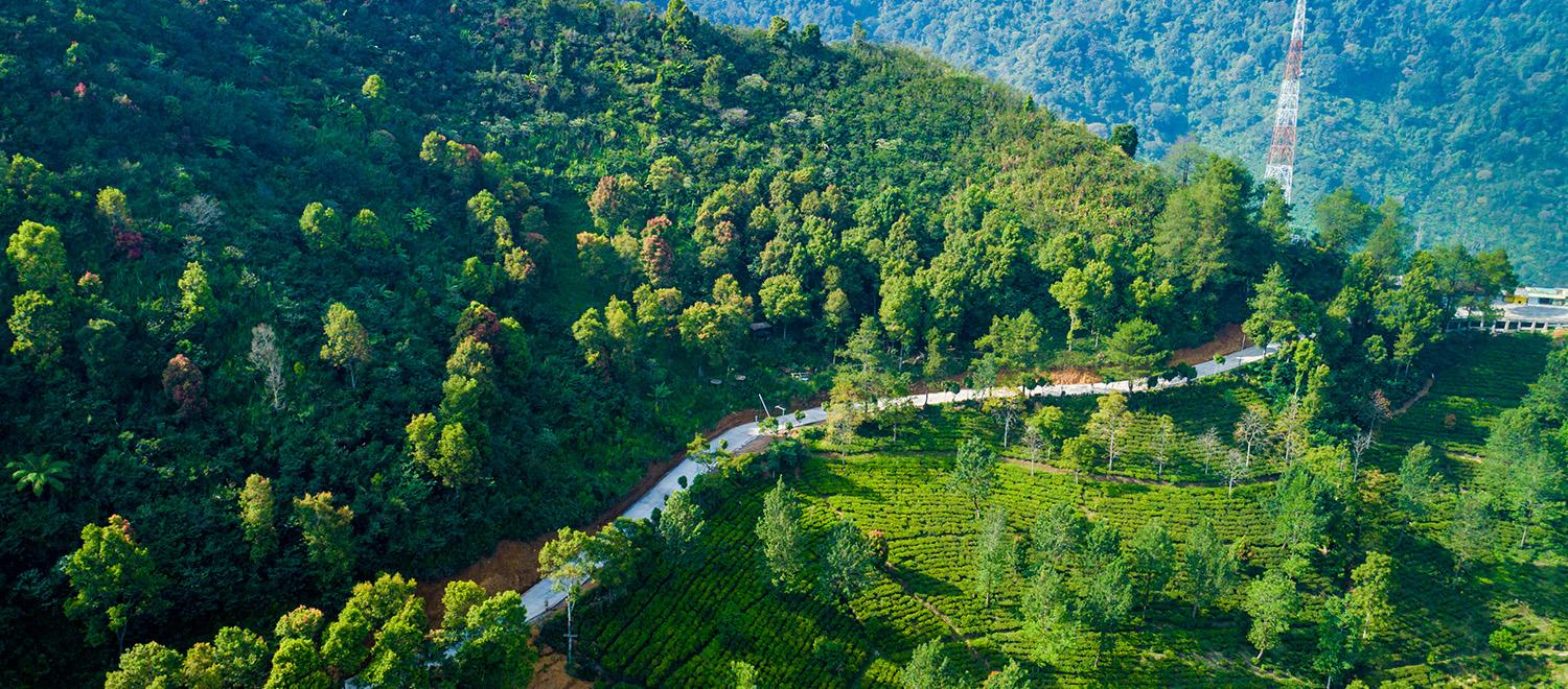 hero image for travel ideas detail