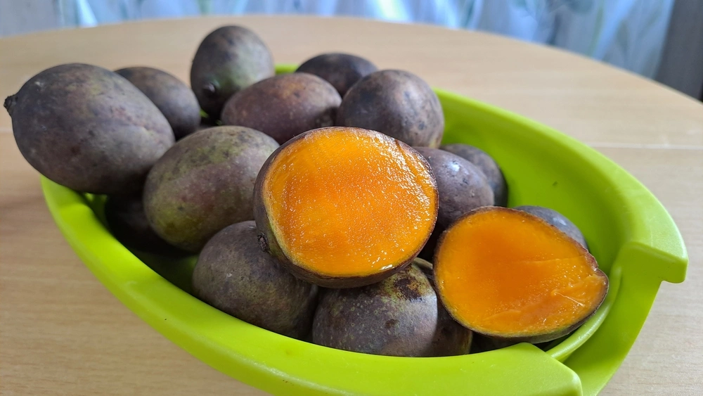 Mangga Kasturi