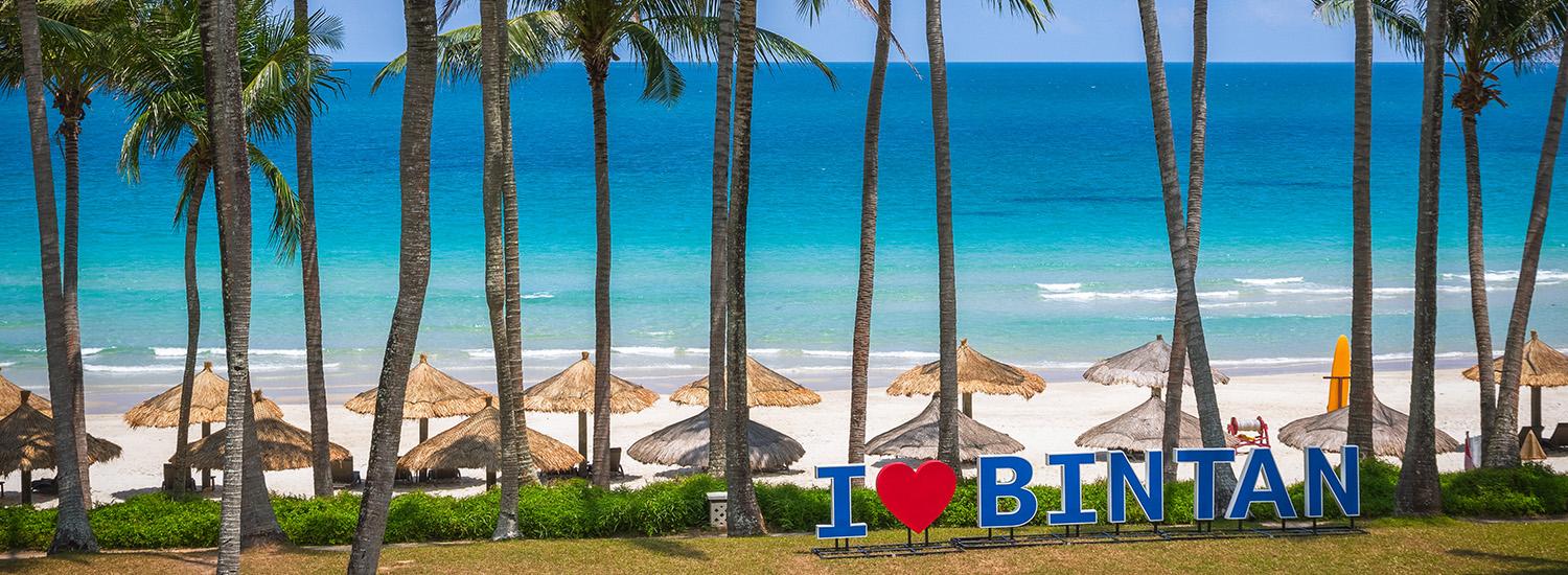 hero image for travel ideas detail