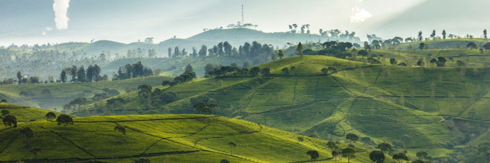 hero image for travel ideas detail