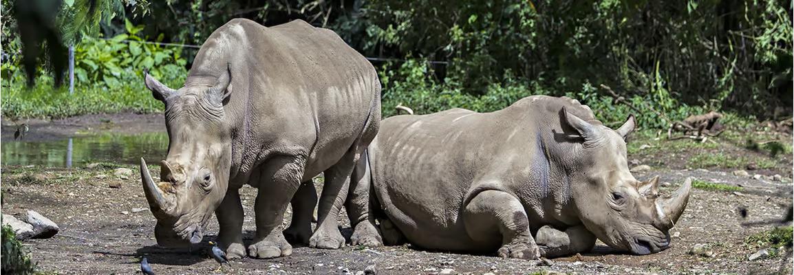 hero image for travel ideas detail