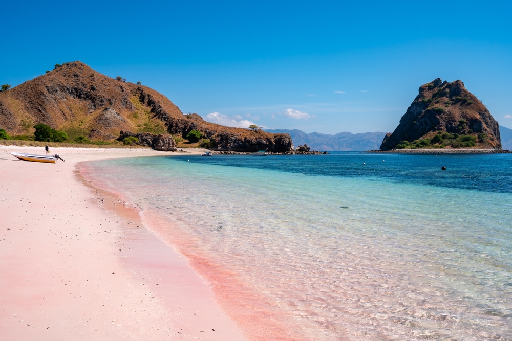 Komodo Island Pink Beach: A Rare Pink Sand Paradise in NTT