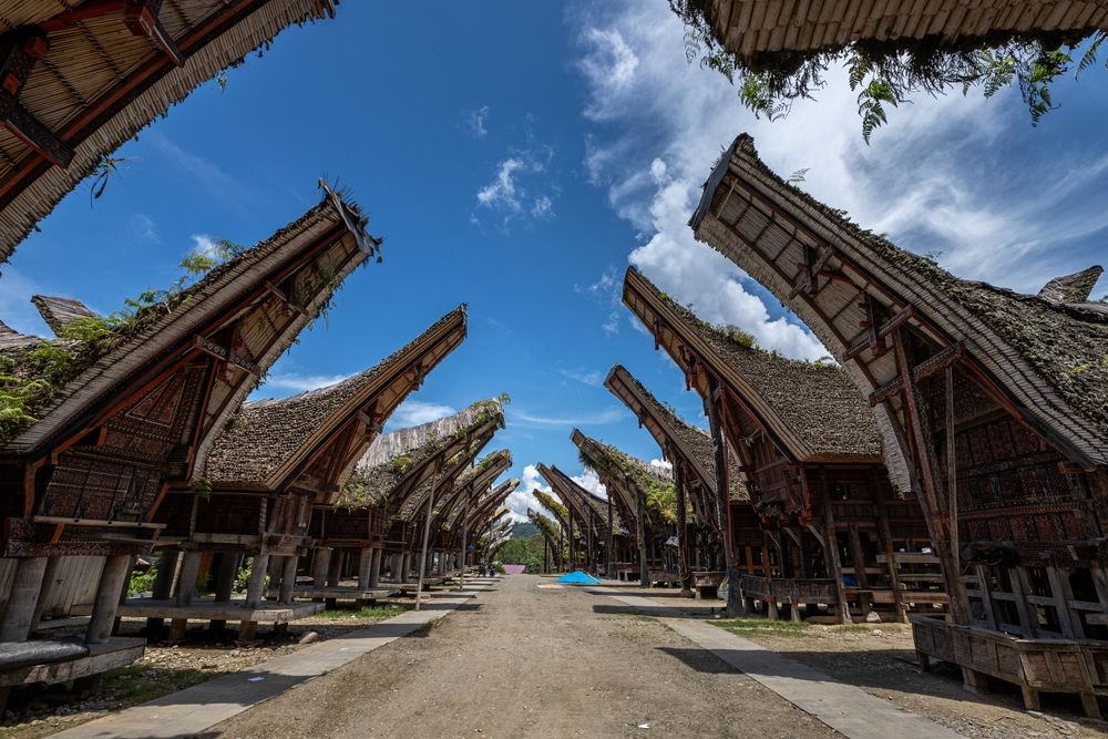 Tongkonan, Rumah Adat Ikonik dan Unik dari Tana Toraja