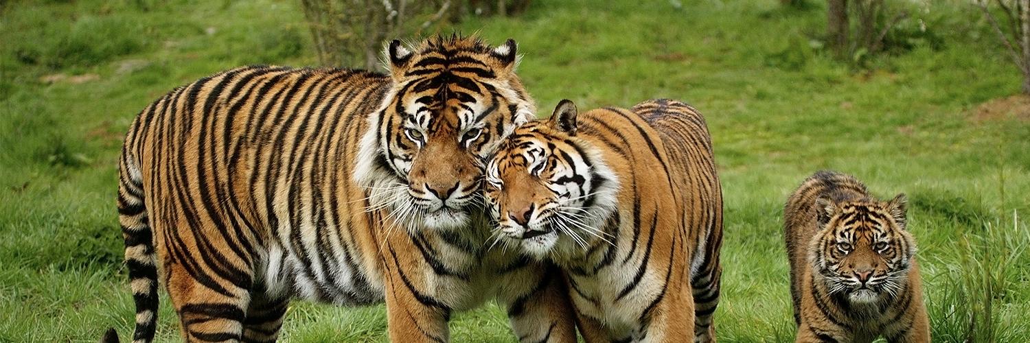 hero image for travel ideas detail