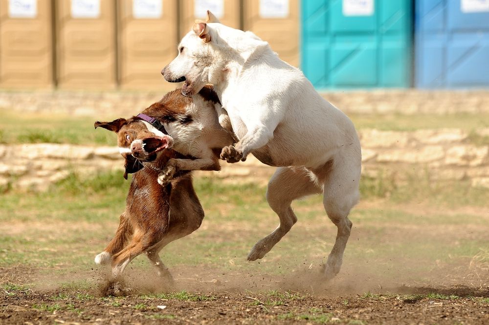 hero image for travel ideas detail