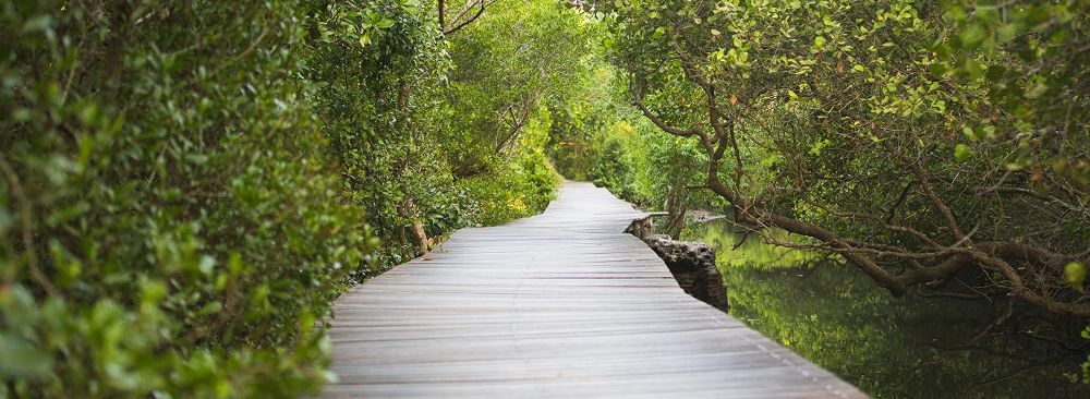 hero image for travel ideas detail