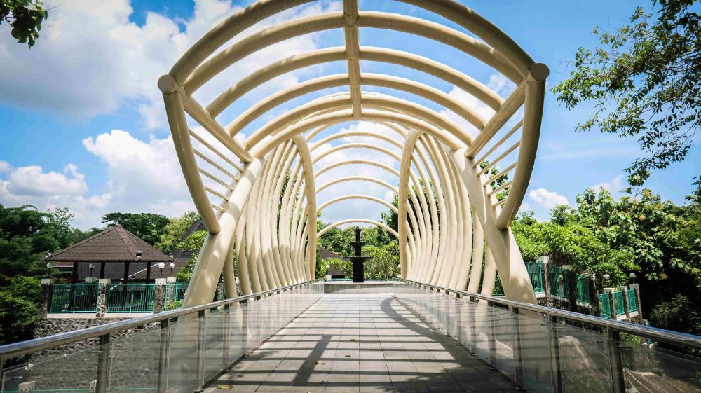 hero image for travel ideas detail