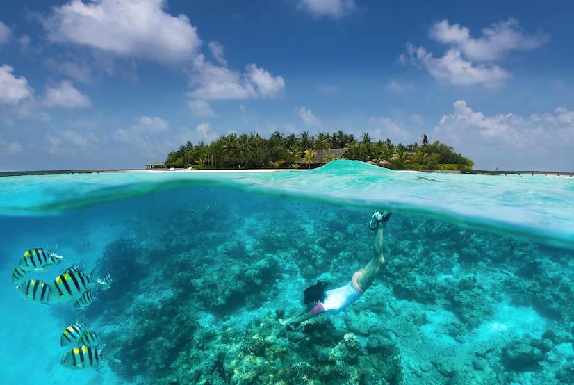 Snorkeling Maratua Island