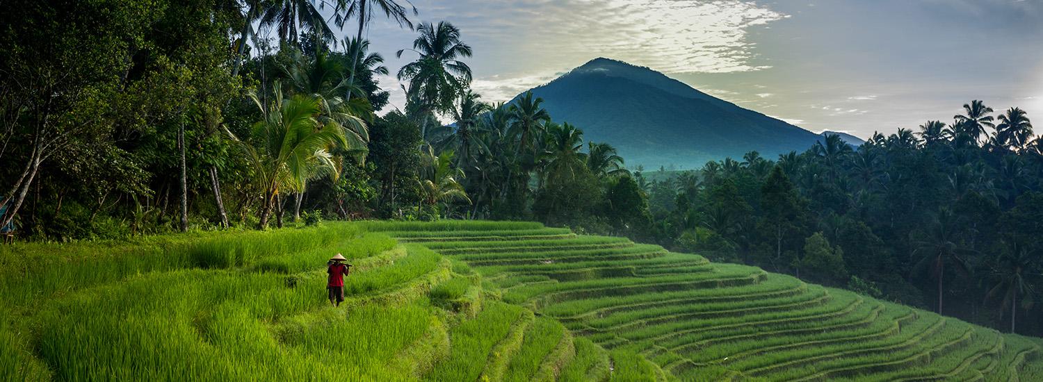 hero image for travel ideas detail