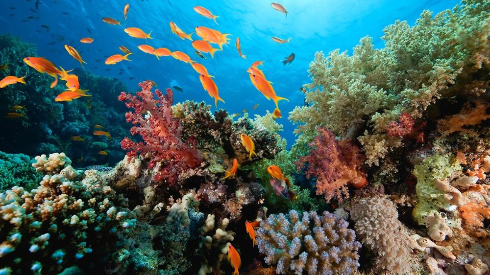 Yuk, Jalan-jalan ke 3 Destinasi Wisata Berkelanjutan ini!