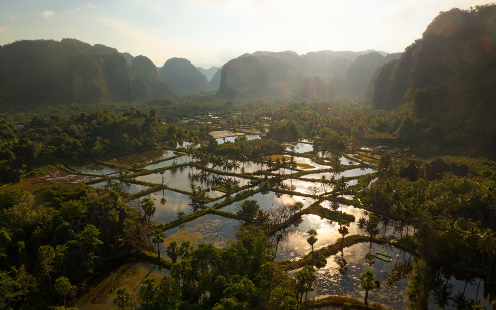 Festival Adat Rammang- Rammang