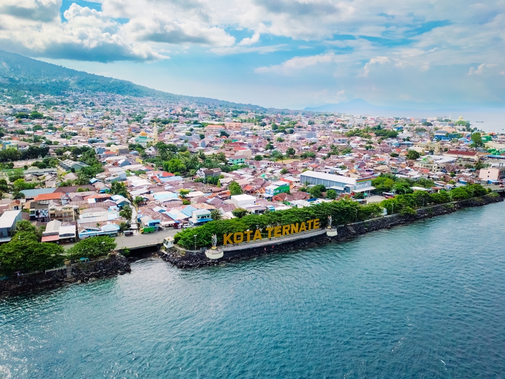 Festival Malam Ela-ela