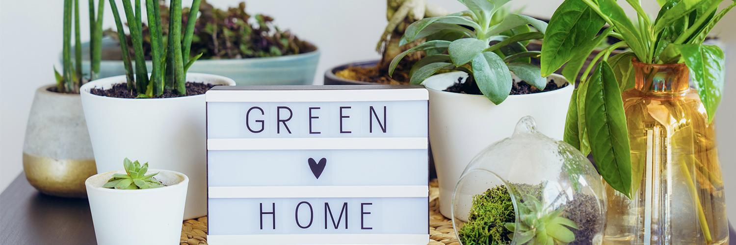 hero image for travel ideas detail