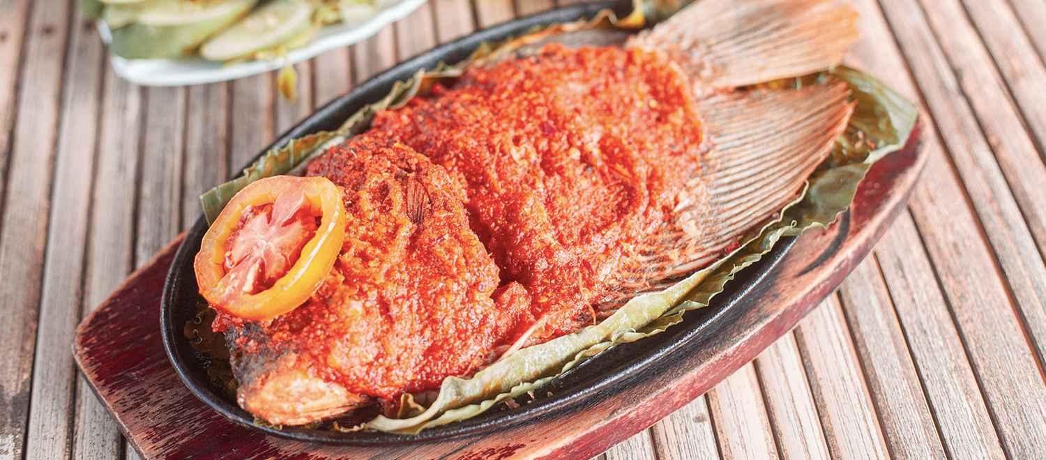 hero image for travel ideas detail