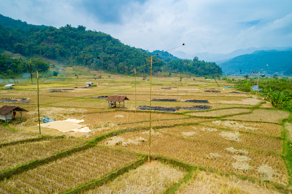 Kampung Salapan