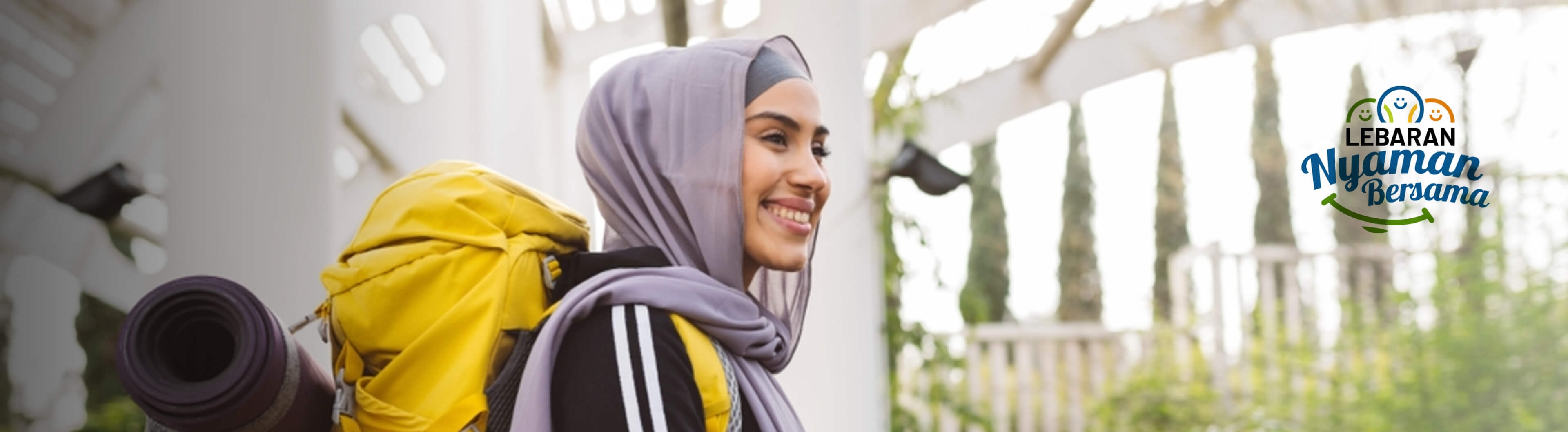 Background image for cruise banner desktop