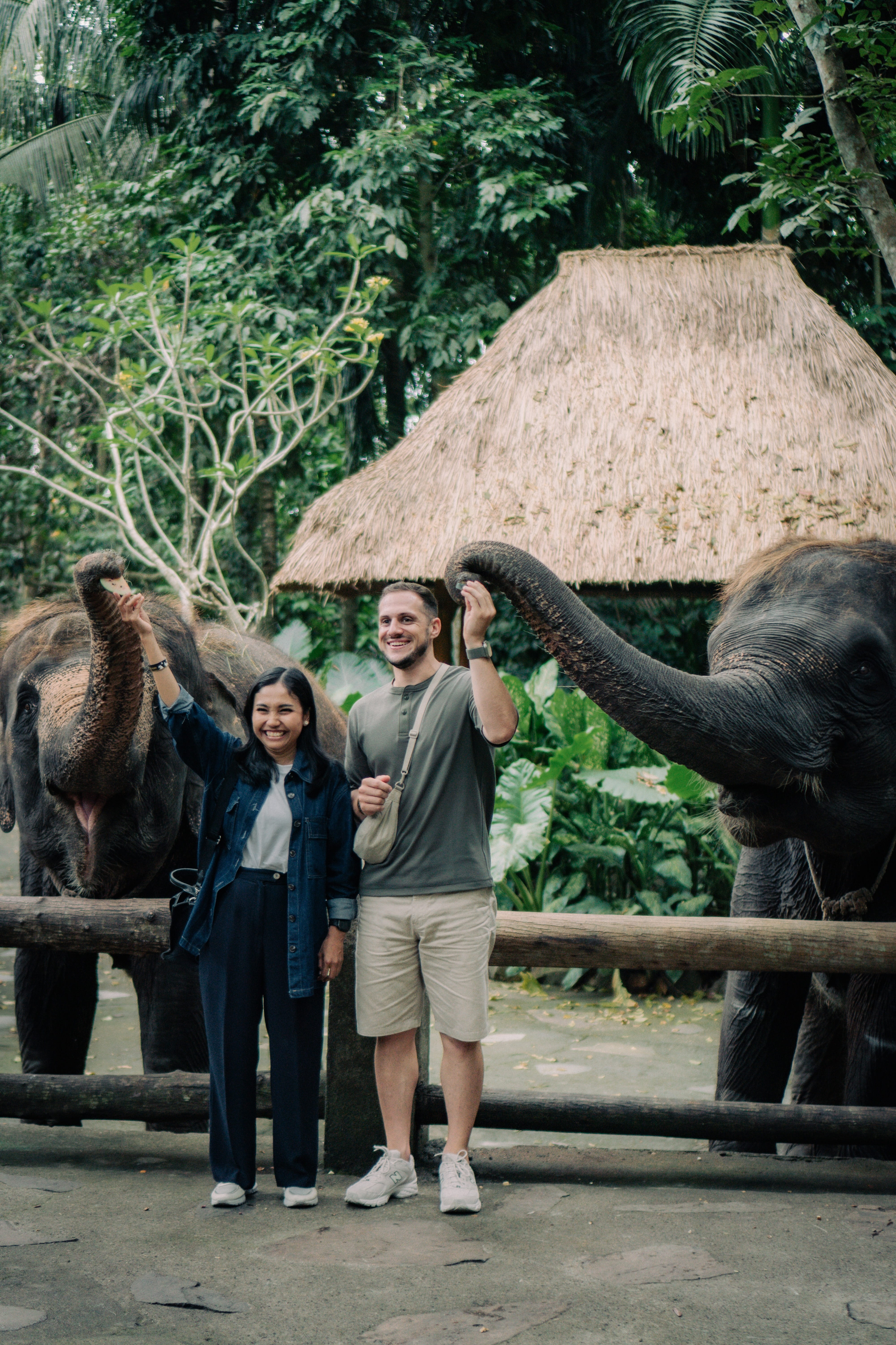 롬복 코끼리 공원: 코끼리들의 새로운성역