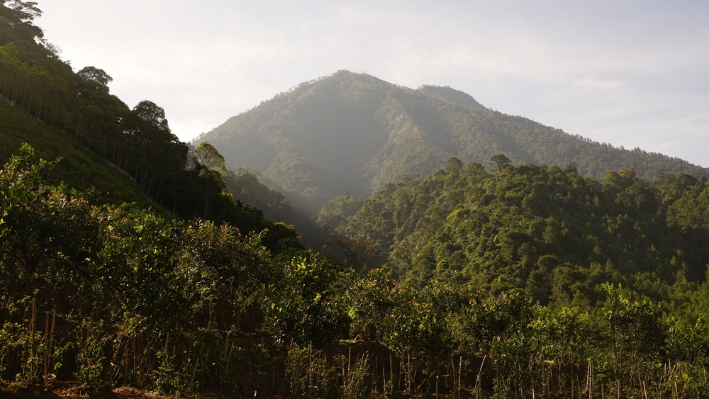 The History of Mount Kawi and Its Hiking Trails