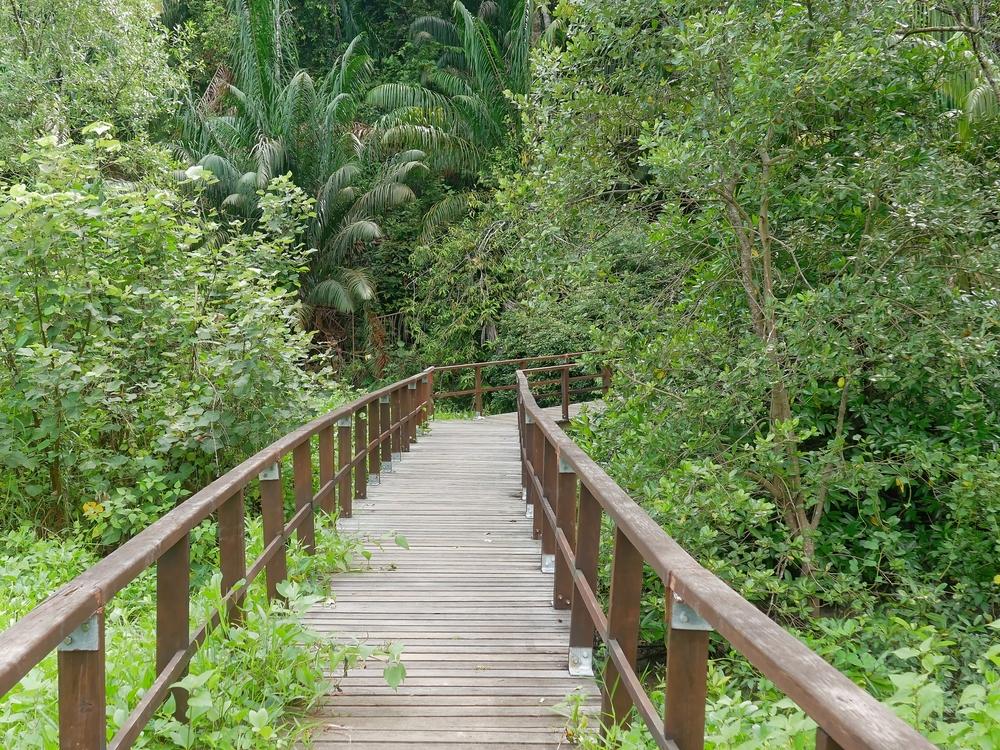 Taman Wisata Alam Pulau Bakut Kalimantan Selatan