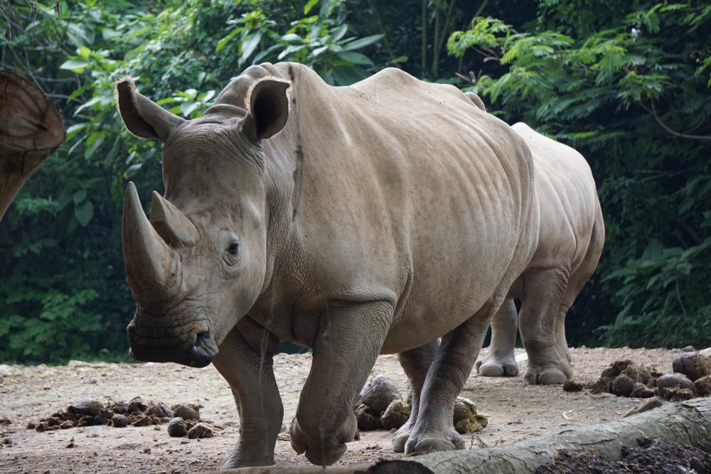 hero image for travel ideas detail