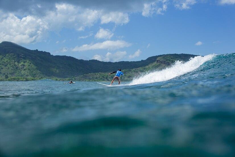 Surfing Fish Face (Beginner)