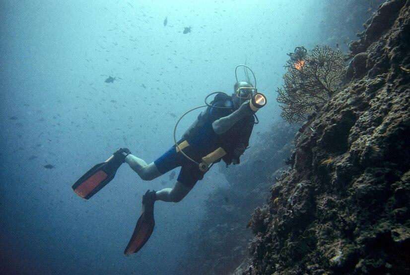 Diving Bunaken National Park