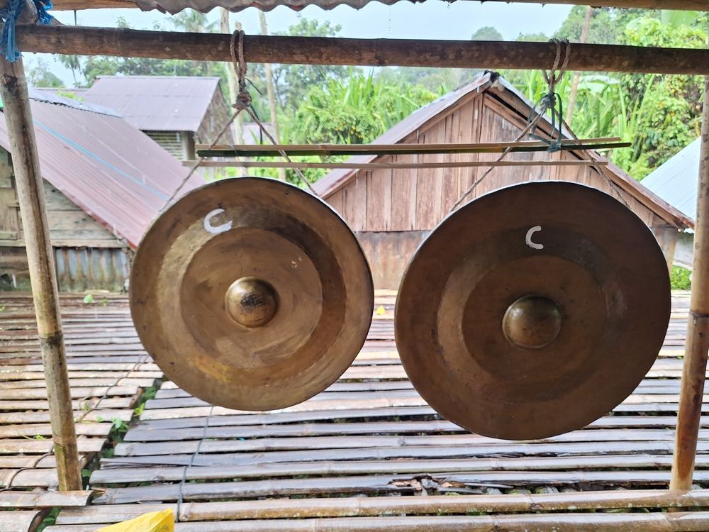 Gong, Alat Musik Tradisional Sumatera Selatan